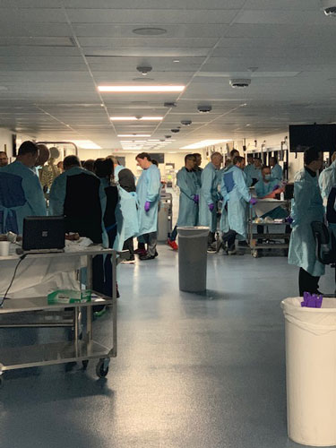 MSKUS Ultrasound Cadaver Course 2019